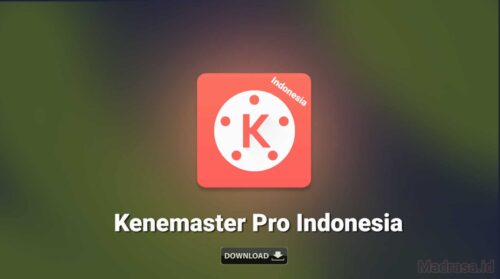 Kinemaster Pro Indonesia
