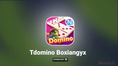 Download Tdomino Boxiangyx Trade